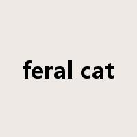 feral cat是什么意思