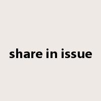 share in issue是什么意思