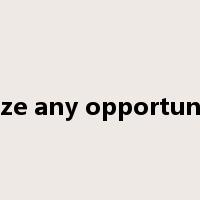 seize any opportunity是什么意思