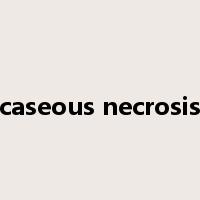 caseous necrosis是什么意思