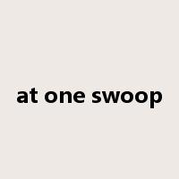 at one swoop是什么意思
