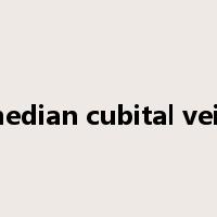 median cubital vein是什么意思
