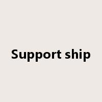 Support ship是什么意思