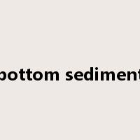bottom sediment是什么意思