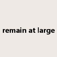 remain at large是什么意思