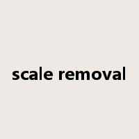scale removal是什么意思