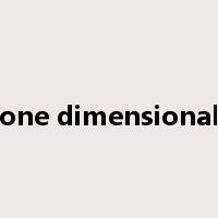 one dimensional是什么意思