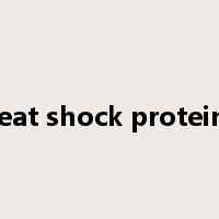 heat shock proteins是什么意思