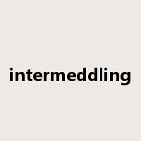 intermeddling是什么意思