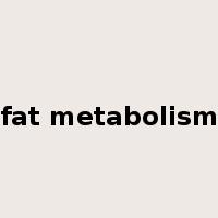 fat metabolism是什么意思