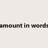 amount in words是什么意思
