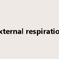 external respiration是什么意思