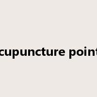 acupuncture points是什么意思