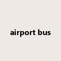 airport bus是什么意思
