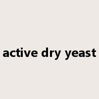active dry yeast是什么意思