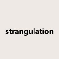 strangulation是什么意思