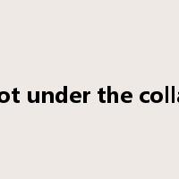 hot under the collar是什么意思