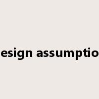 design assumption是什么意思