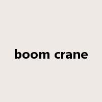 boom crane是什么意思