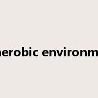 anaerobic environment是什么意思