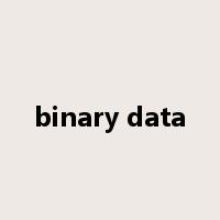 binary data是什么意思
