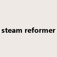 steam reformer是什么意思