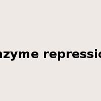 enzyme repression是什么意思