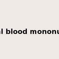 peripheral blood mononuclear cell是什么意思