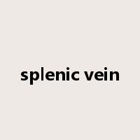 splenic vein是什么意思