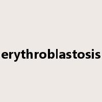 erythroblastosis是什么意思