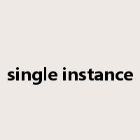 single instance是什么意思