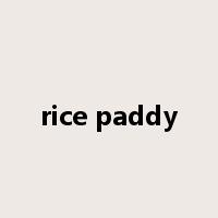rice paddy是什么意思