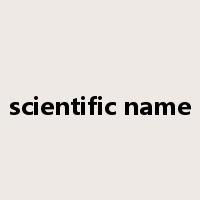 scientific name是什么意思