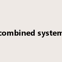 combined system是什么意思