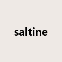 saltine是什么意思