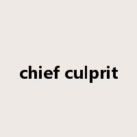 chief culprit是什么意思