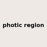 photic region是什么意思