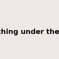 anything under the sun是什么意思