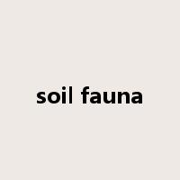 soil fauna是什么意思
