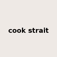 cook strait是什么意思
