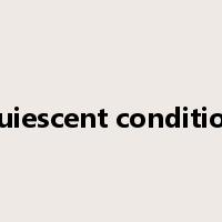 quiescent condition是什么意思