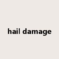 hail damage是什么意思