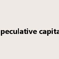 speculative capital是什么意思