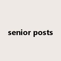 senior posts是什么意思