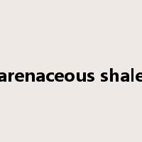 arenaceous shale是什么意思