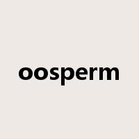 oosperm是什么意思