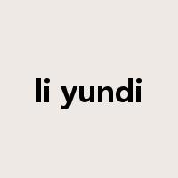 li yundi是什么意思