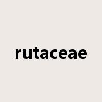 rutaceae是什么意思