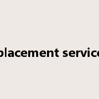 placement service是什么意思