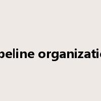 pipeline organization是什么意思